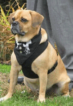 Jaxon Collier at wedding