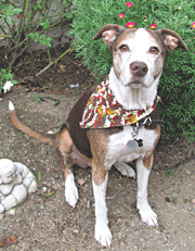 Nico Lopez